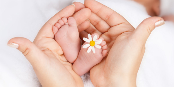 Zwei erwachsene Hände umschließen die Füße eines Babys, zwischen den Füßen liegt eine weiße Blüte. Darstellung kann auf Mutter-Kind-Beratung und frühkindliche Pflege hinweisen.